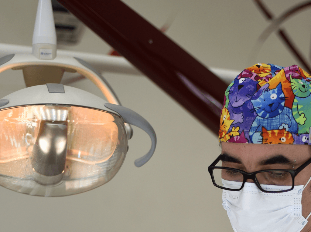 Stomatologia — AMS Centrum Medyczne